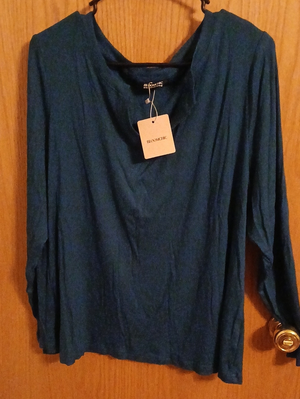 Bloomchic V-neck Long Sleeve Draped Top Teal